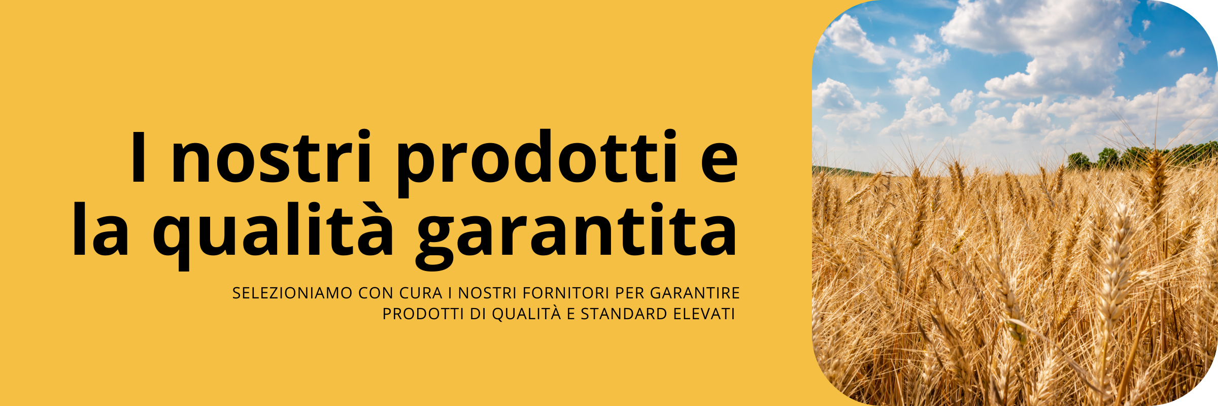 prodotti e garanzia